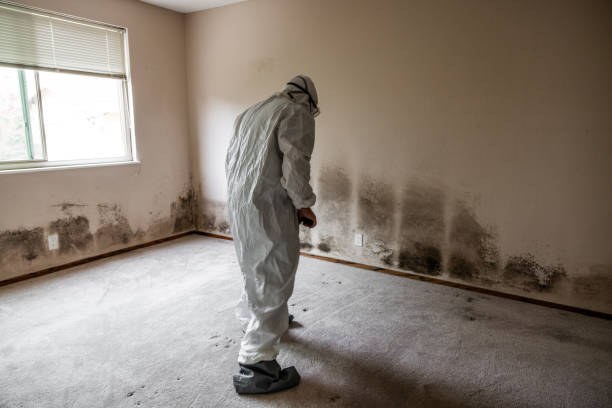 Mold Remediation for Rental Properties in Swainsboro, GA